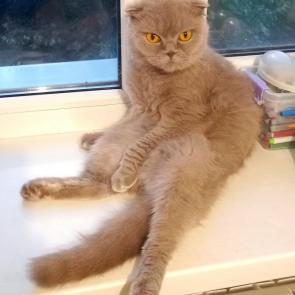 ����: ����� �����