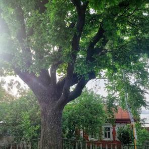 ����: ���