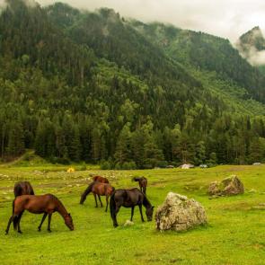 ���� ��������: ������ � ��������� ������