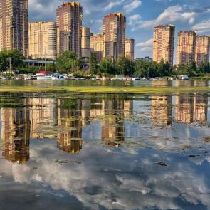 ����: ���� ���