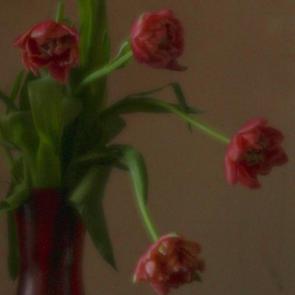 ����: ������ ����� 