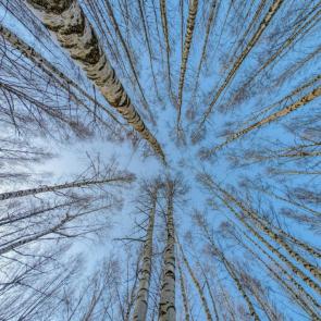 ����: ������� ���������