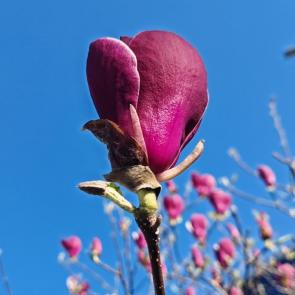 ����������