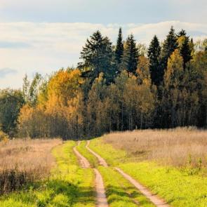 ���������� � �������