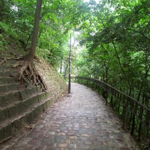 ����: ����� �����