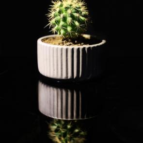 ����: ����� � ���������