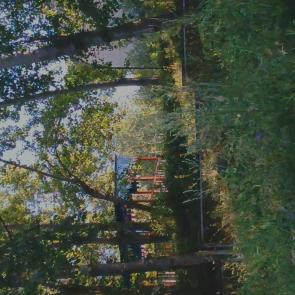 ����: �������