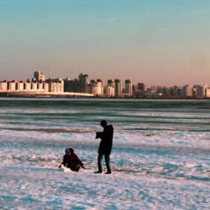 ����: ������� ����