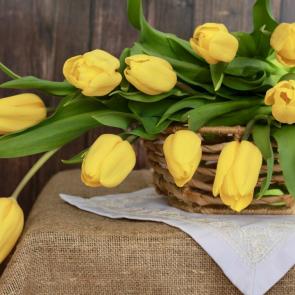 ����: ����� ���������