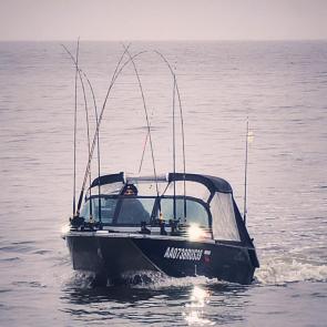 ���� ��������: 