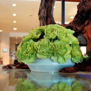 ����: �����