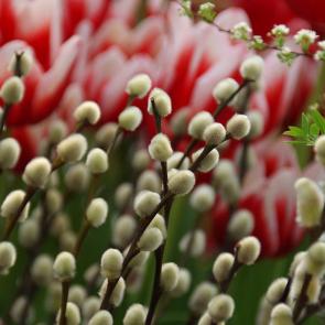 ����: �������� ����