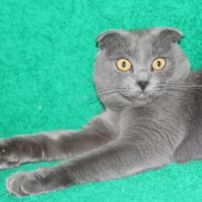 ������� �����