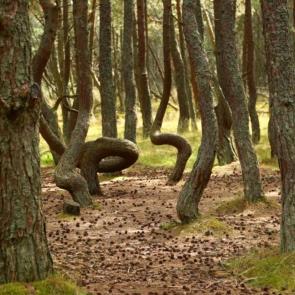 ����: ��������� ��� �������� ���� 