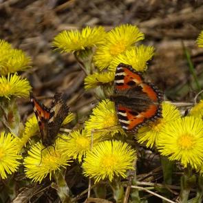 ����������