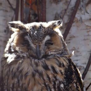 ����: �������� ��� ������