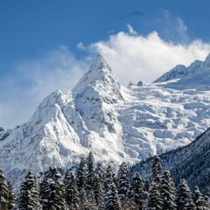 ����: ������� ������� ������