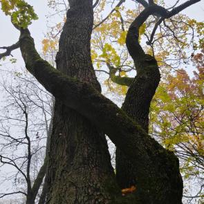 ����: � �������� �����