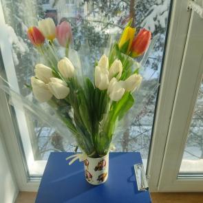 ����: ����� �����