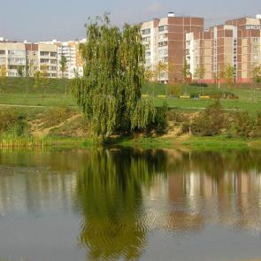 ����: ������