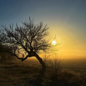 ����: ���� � ����