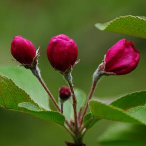 ����: ����� �� �������