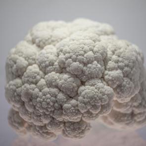 ����: �������