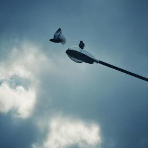 ����: �������� �������