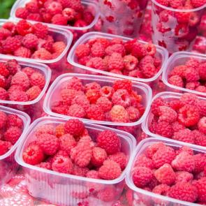 ���� ��������: 