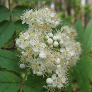 �������� � �����