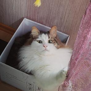 ����: � ������