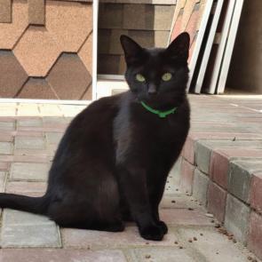 ������� �����