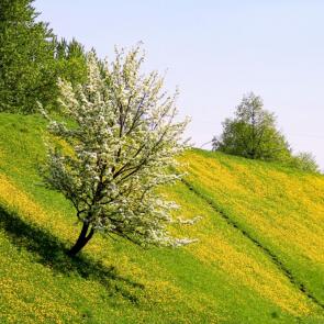 �������� � ���������� �������