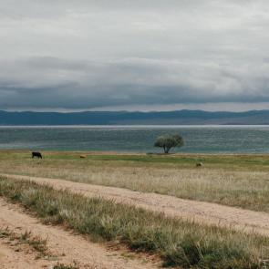 ���������� � �������