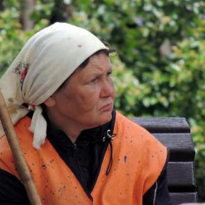 ���� ��������: 