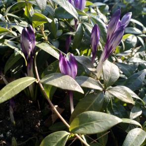 ����: �������� ����� 