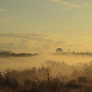 ����: ������ �����