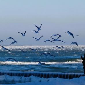 ��������� �������