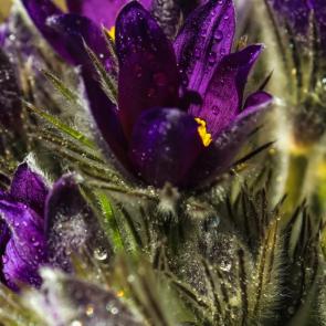 ����: ���������� �����