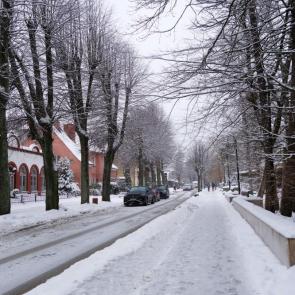 ����: ������ �����