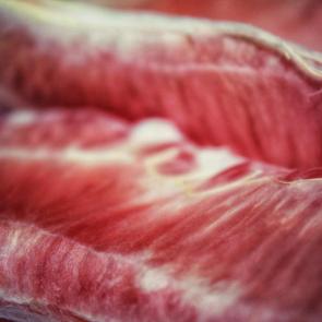 ���� ��������: �������