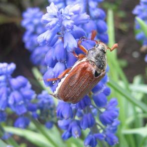 ����������