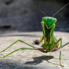 ����������