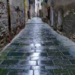 �������� �����