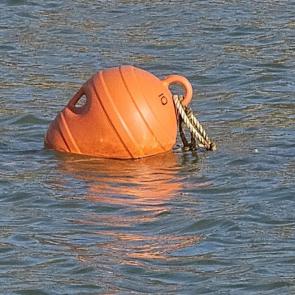 ���� ��������: � �������)