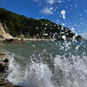 ������ ���