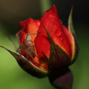 ����: ���� � ����