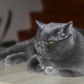 ����: ������ �� � ���������� 