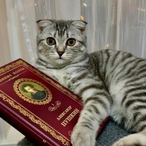 ����: �������������� ������