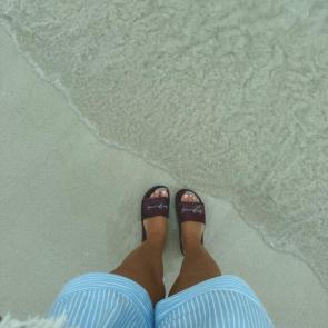 ����: �������. ������ �����